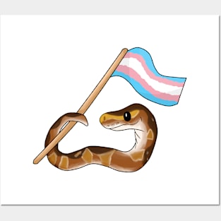 Ball Python Pride [Normal Morph, Transgender] Posters and Art